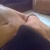 foto do perfil dimitry g
